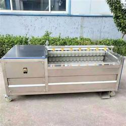 番薯毛輥清洗機(jī)廠家電話 佳美食品機(jī)械 重慶番薯毛輥清洗機(jī)