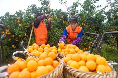 大足農產品&ldquo;做客&rdquo;重慶之聲